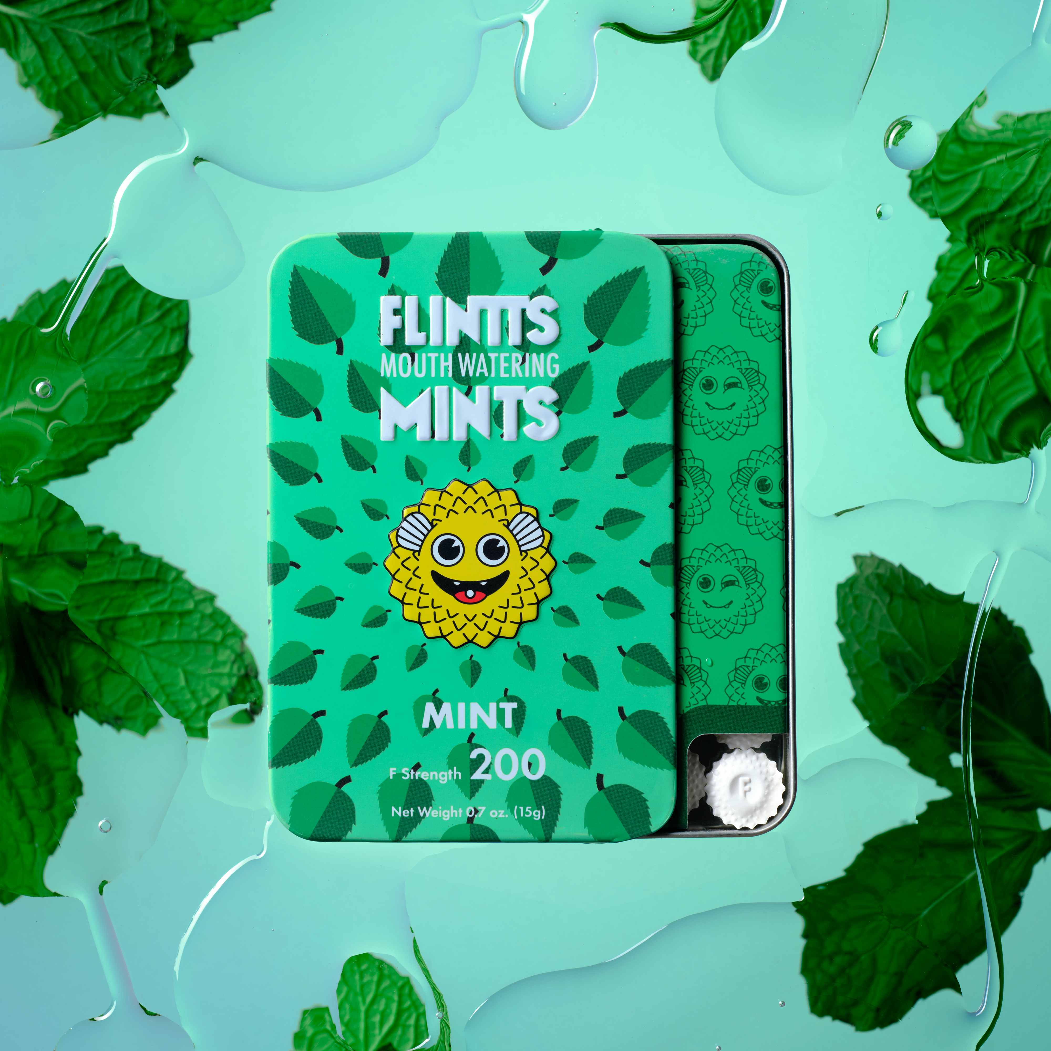 4 Pack Mint
