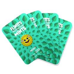 MINT mega menu image