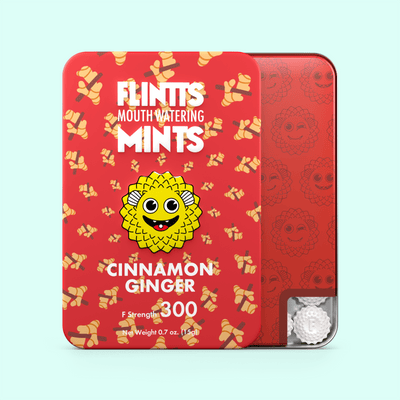 Cinnamon Ginger 4-Pack