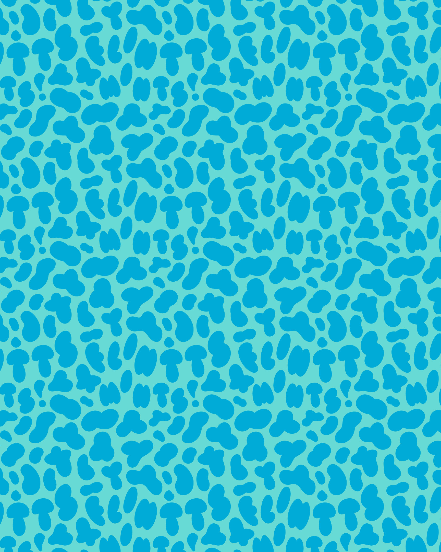 Gift Wrap